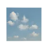 الألدهيدات